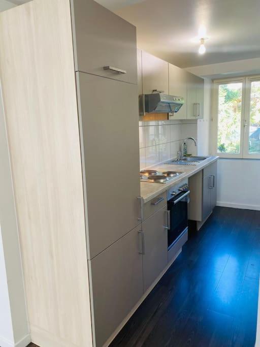 Au Petit Cocon De Coco Apartman Guebwiller Kültér fotó